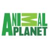 ANIMAL PLANET